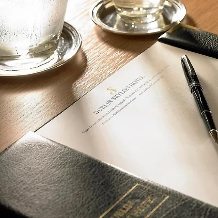 都柏林摩天酒店 酒店 4*