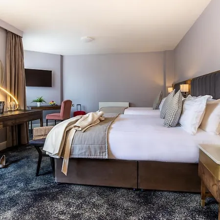 都柏林摩天酒店 酒店 都柏林