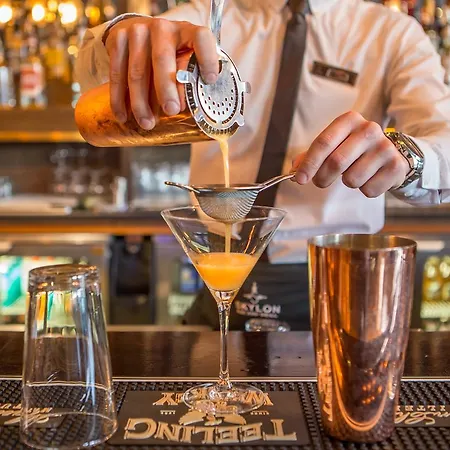 酒店 都柏林摩天酒店