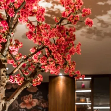 Hotel Skylon 4*