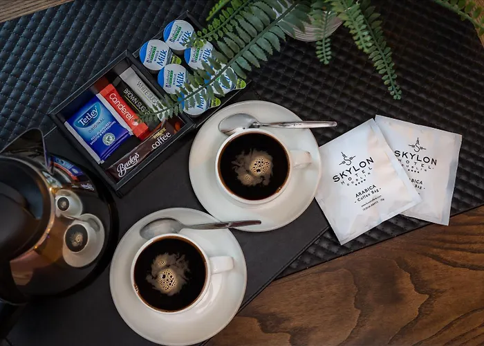 酒店 都柏林摩天酒店