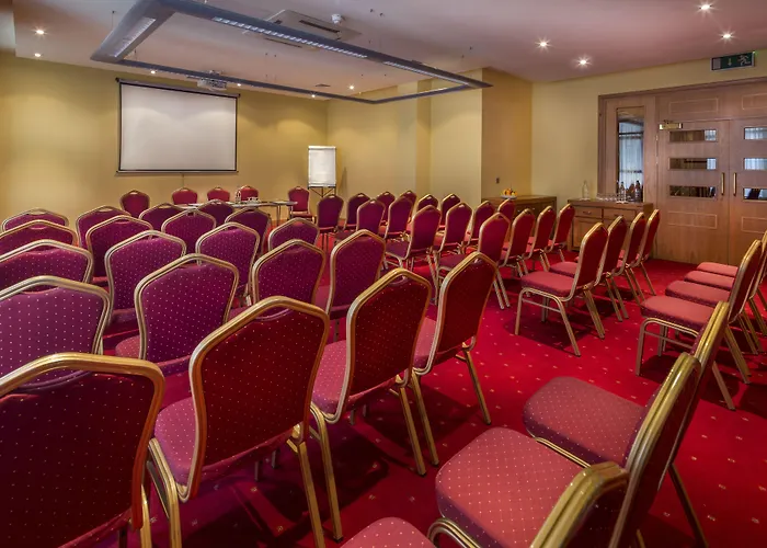 酒店 都柏林摩天酒店 4*